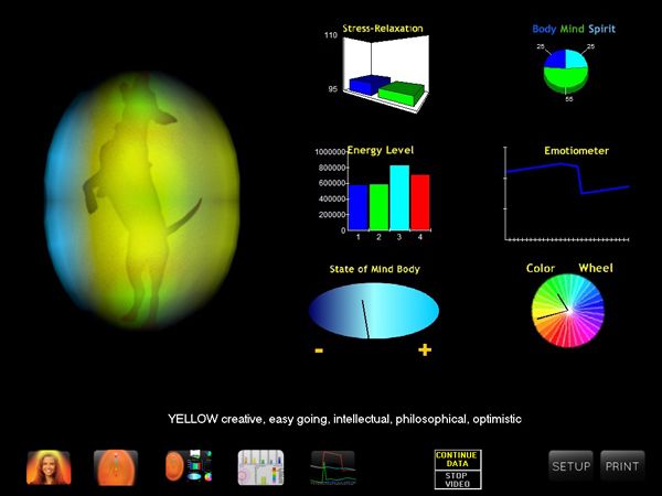 AVS 7 animal silhouette in Aura in Motion without chakra markers