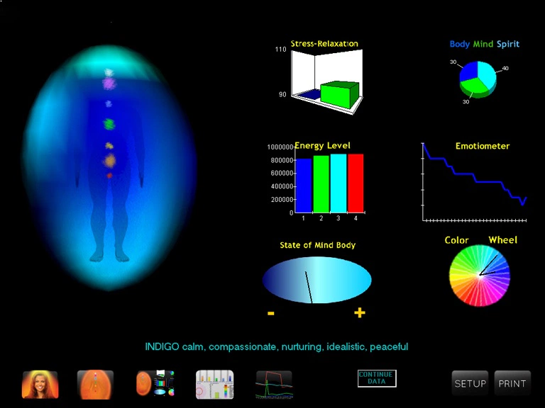 AVS 7 Aura in Motion software screenshot